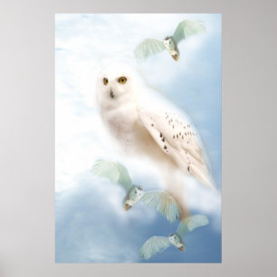 Impression de l'affiche de la Chouette des neiges