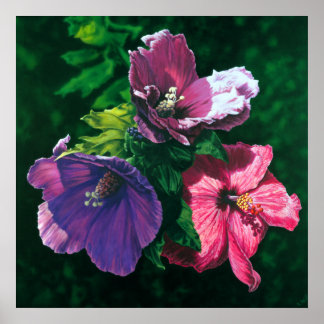 Impression de l'affiche de l'Hibiscus hawaïen