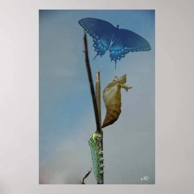 Impression de l'affiche des étapes (Devant)