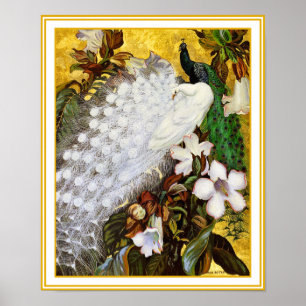 Impression de l'affiche : Peacock blanc et bleu