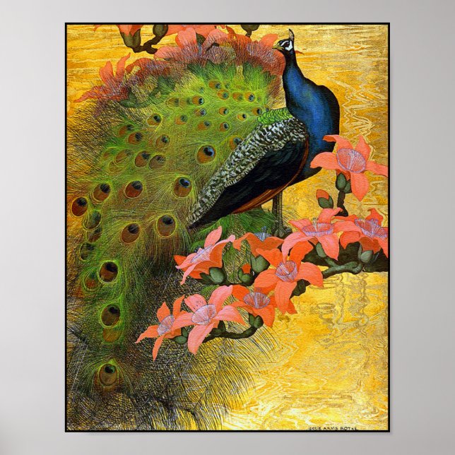 Impression de l'affiche : Peacock bleu (Devant)