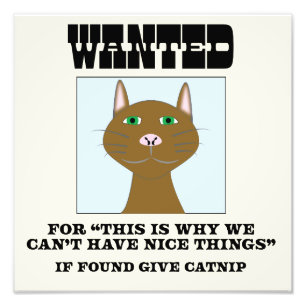 Impression de l'affiche Recherchée de chat
