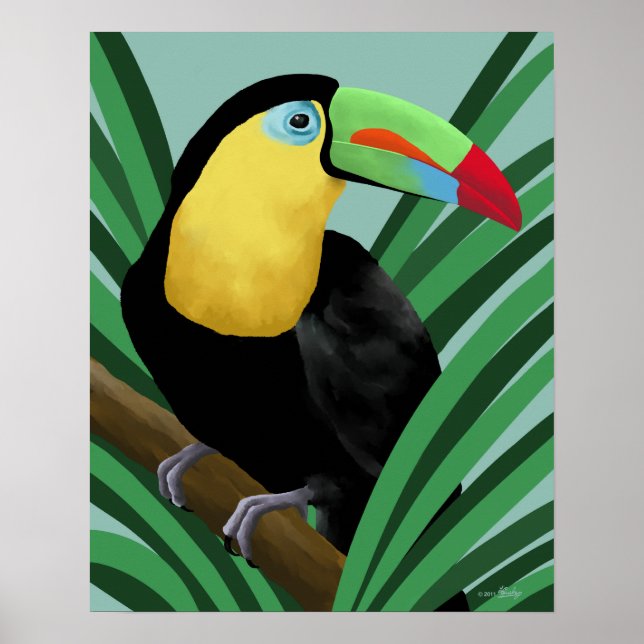 Impression de l'affiche Toucan (Devant)