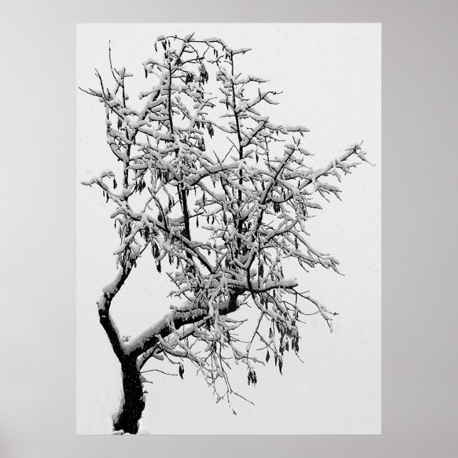 Impression de l'arbre d'hiver (Devant)