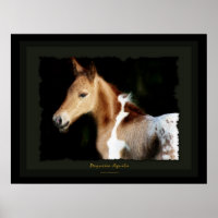 Impression de l'art alimentaire de Mustang en espa