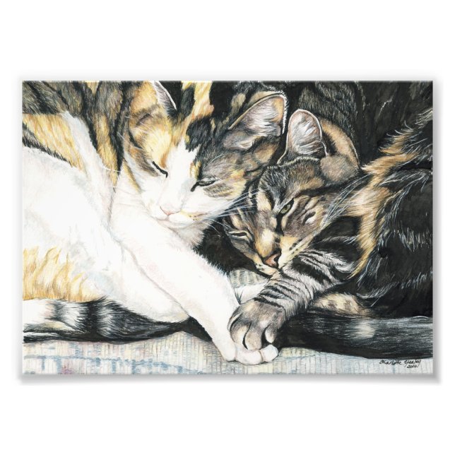 Impression de l'art du cube de chat (Devant)