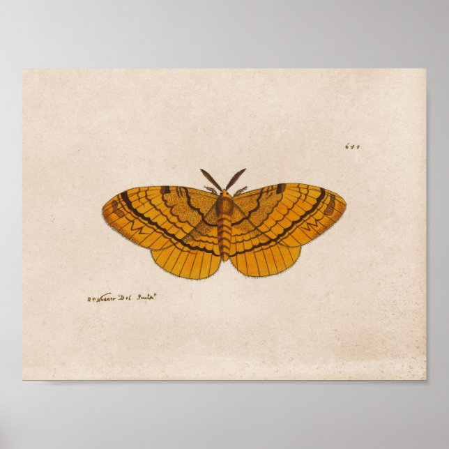 Impression de l'illustration scientifique du Mois (Devant)