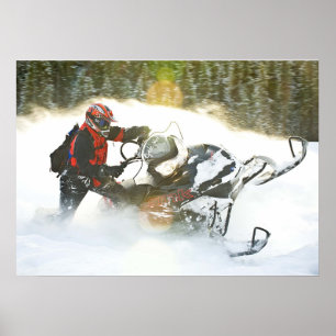 Impression de motoneige Wild Ride