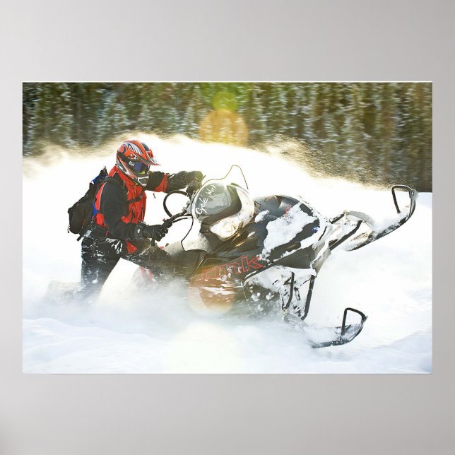 Impression de motoneige Wild Ride (Devant)