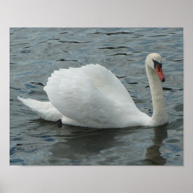 Impression de nage de Swan (Devant)