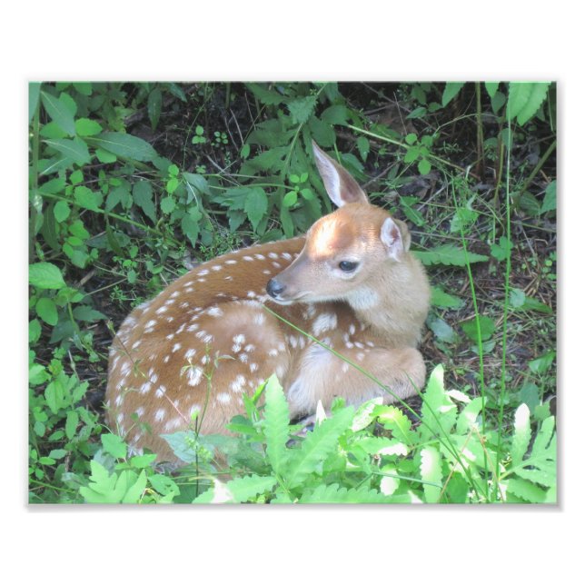 Impression de photo de profil (Devant)