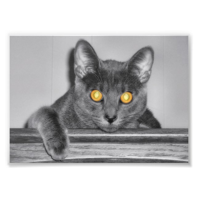 Impression de photo Dusky Gold (Devant)