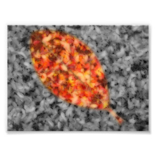 Impression de photos d'ombres vives