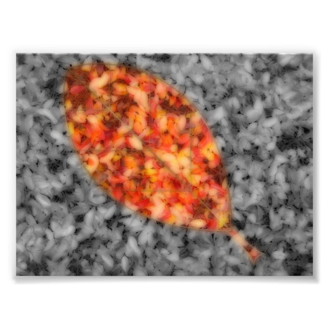 Impression de photos d'ombres vives (Devant)