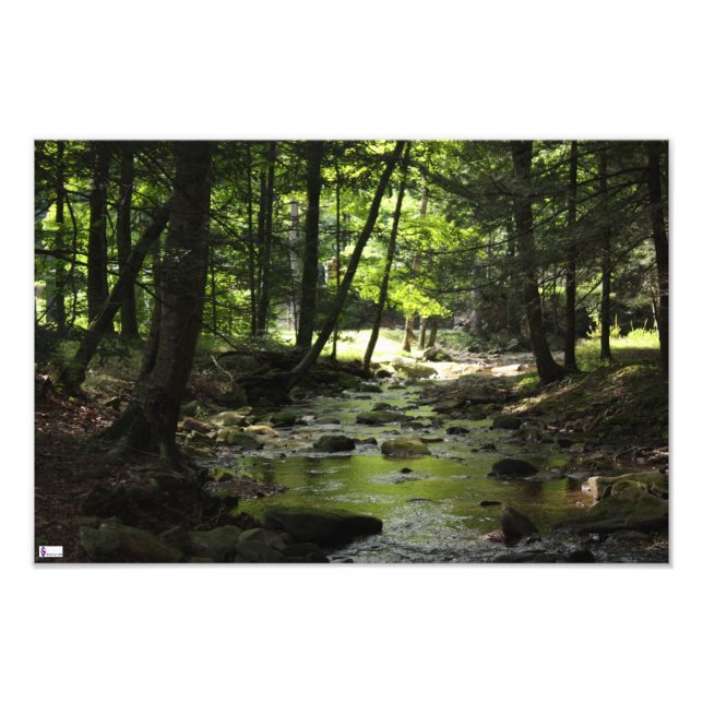 Impression de photos en aval (Devant)