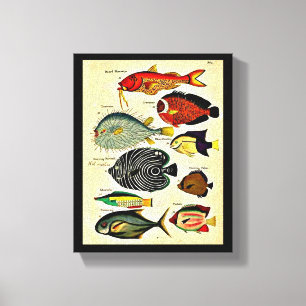impression de poisson d'époque