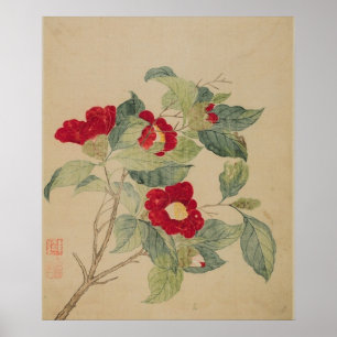 Impression de poster Camellias par Ma Yuanyu