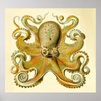 Impression de poulpe surdimensionnée de Haeckel vi