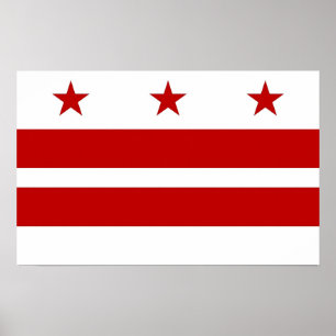 Impression de toile avec drapeau de Washington DC,