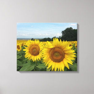 Impression de toile avec tournesol