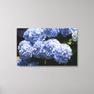 Impression de toile Blue Hydrangea
