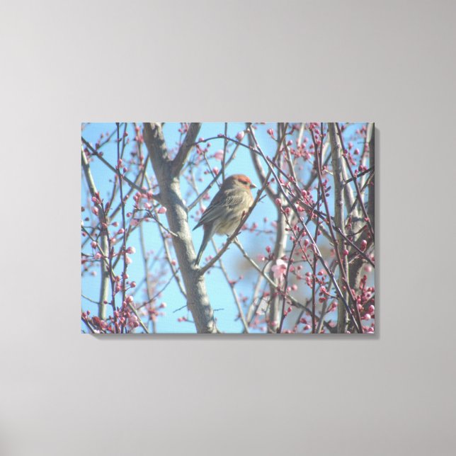 Impression de toile - Contemplation du ressort (Recto)