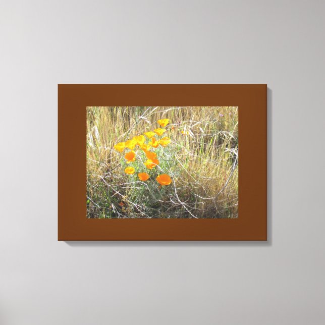 Impression de toile - Coquelicot de Californie (Recto)