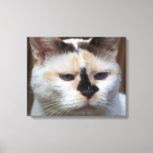 Impression de toile Cream Calico 20"x16"