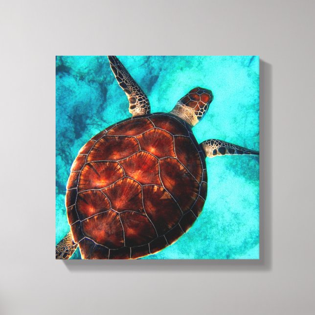 Impression de toile de tortue marine (Recto)