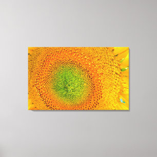 Impression de toile de tournesol
