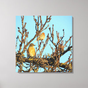 Impression de toile - Deux oiseaux dans des branch