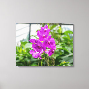 Impression de toile d'orchidées violettes