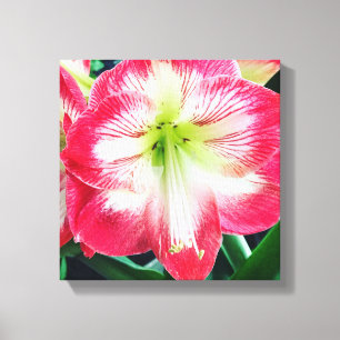 Impression de toile étirée