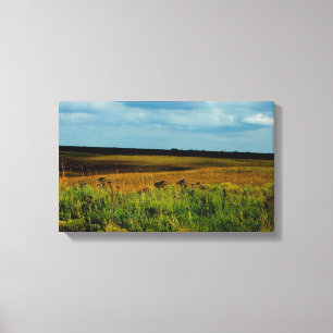 Impression de toile Flint Hills of Kansas