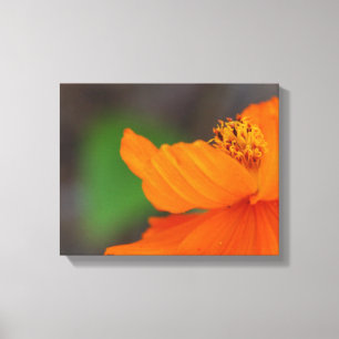 Impression de toile florale orange