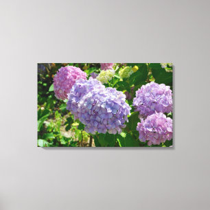 Impression de toile Hydrangea