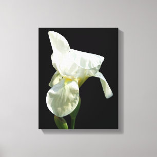 Impression de toile Iris