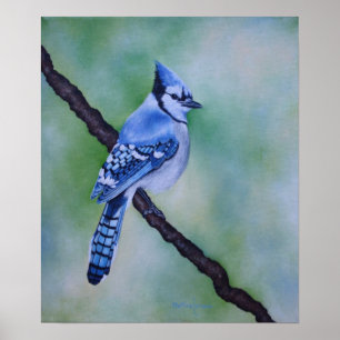 Impression de toile Jay bleu