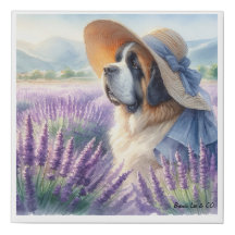 Impression de toile Saint Bernard dans le champ de