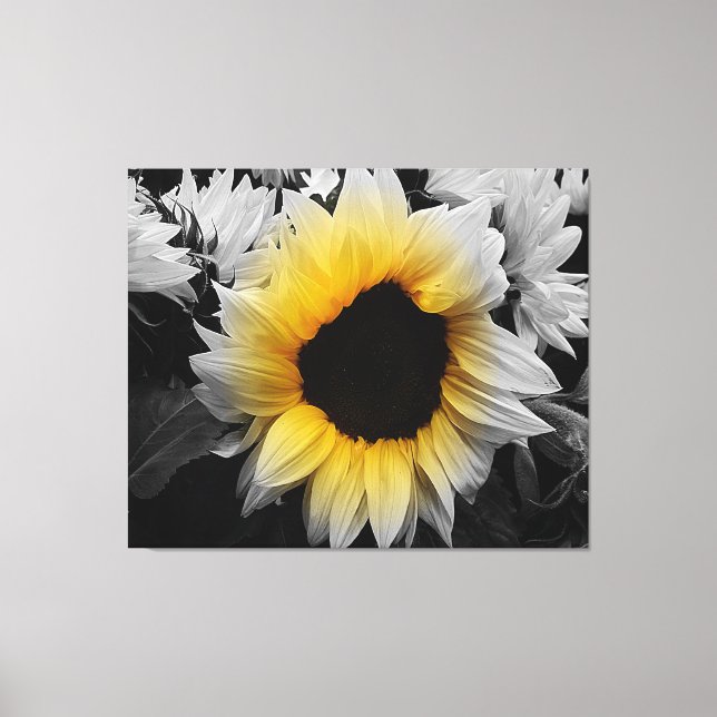 Impression de toile - Tournesol (Recto)
