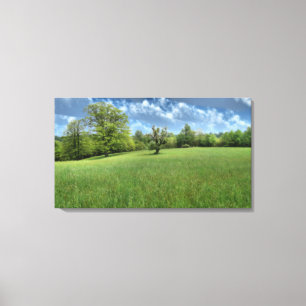 Impression de toile verte Appalachian