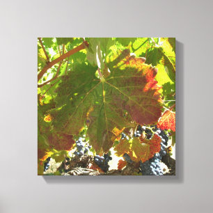 Impression de toile - Vignes