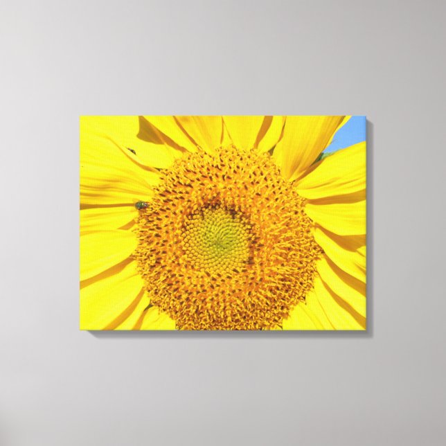 Impression de toile - Voler sur le tournesol (Recto)