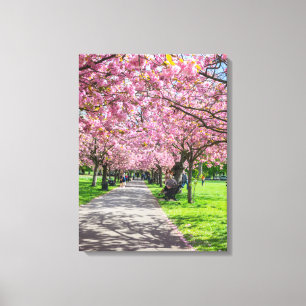 Impression de toile vue cerise en fleur