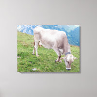 Impression de toile vue vache de pâturage