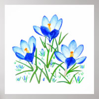 Impression de trois fleurs de crocus bleus