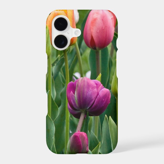 Impression de tulipes colorées (Verso)