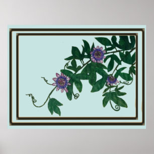 Impression de vigne de passiflore, Affiche (semi-b