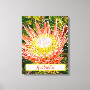Impression de voyage de Protea