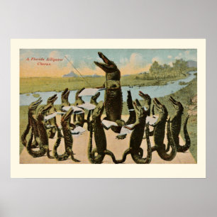 Impression des alligators chanteurs